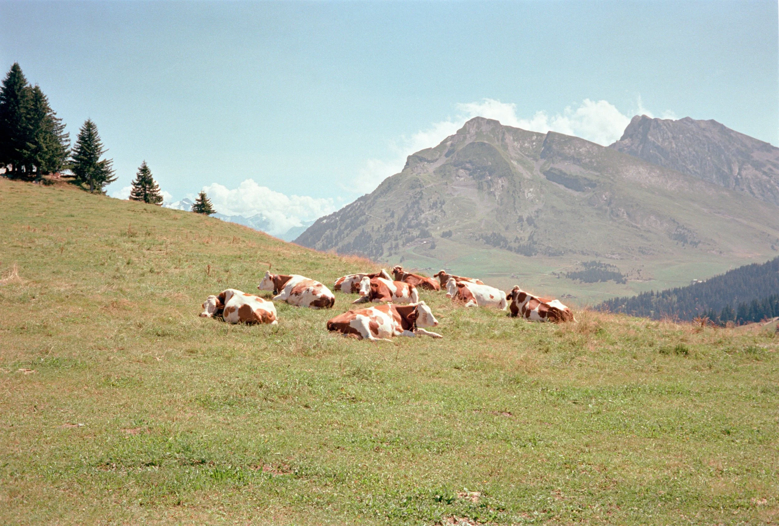 Places, analog photograph 31
